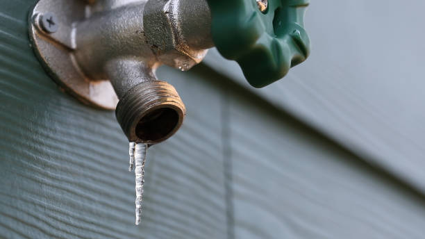 Best Shower Repair Services  in Clewiston, FL